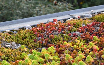 the cost of Bishops Down green roof installation