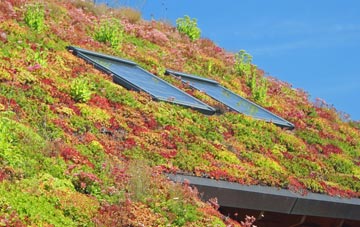 Bishops Down living roof systems